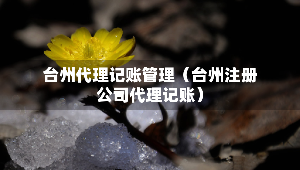 臺州代理記賬管理（臺州注冊公司代理記賬）