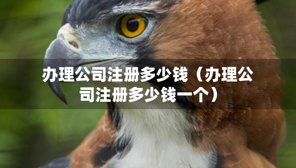 辦理公司注冊(cè)多少錢(qián)（辦理公司注冊(cè)多少錢(qián)一個(gè)）
