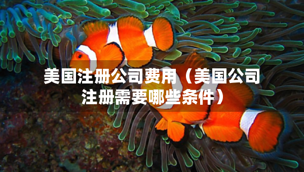 美國注冊公司費(fèi)用（美國公司注冊需要哪些條件）