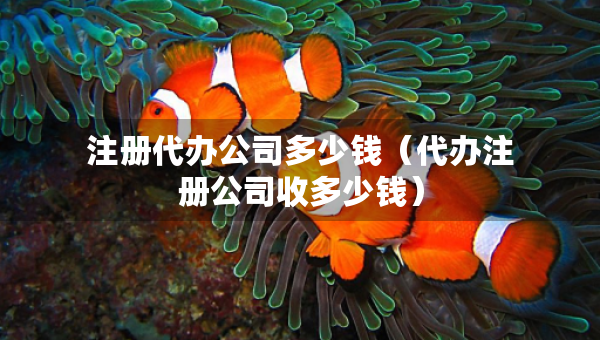 注冊代辦公司多少錢（代辦注冊公司收多少錢）