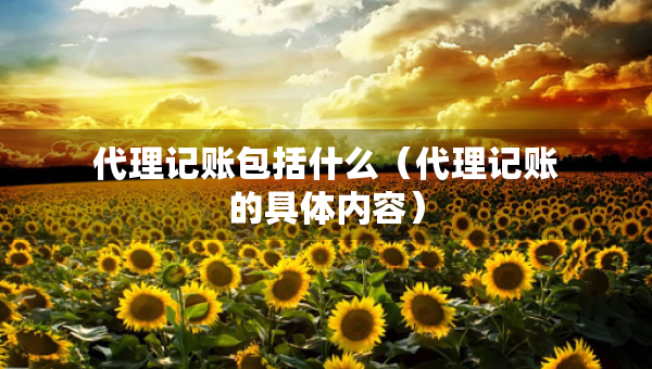 代理記賬包括什么（代理記賬的具體內(nèi)容）