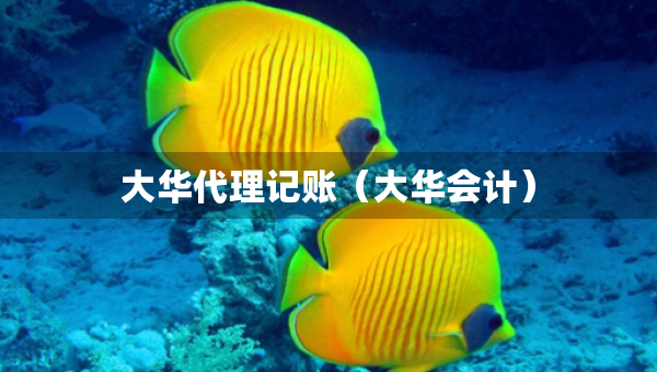 大華代理記賬（大華會(huì)計(jì)）