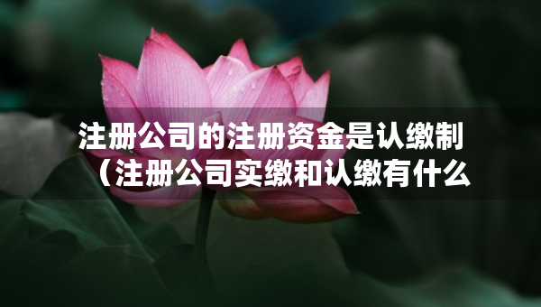 注冊(cè)公司的注冊(cè)資金是認(rèn)繳制（注冊(cè)公司實(shí)繳和認(rèn)繳有什么區(qū)別）
