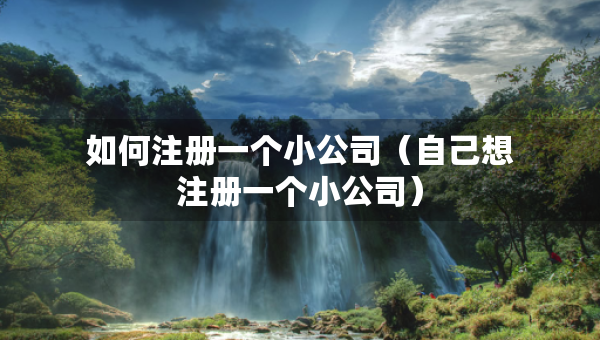 如何注冊一個小公司（自己想注冊一個小公司）
