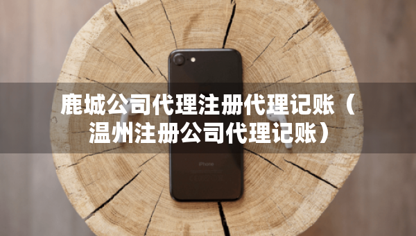鹿城公司代理注冊代理記賬（溫州注冊公司代理記賬）