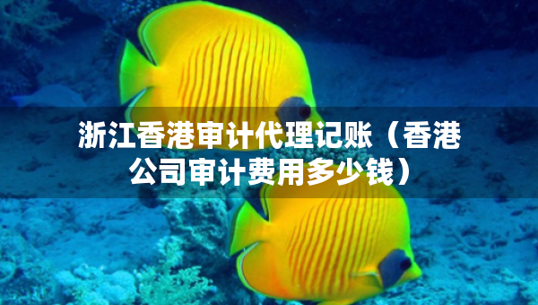 浙江香港審計代理記賬（香港公司審計費(fèi)用多少錢）