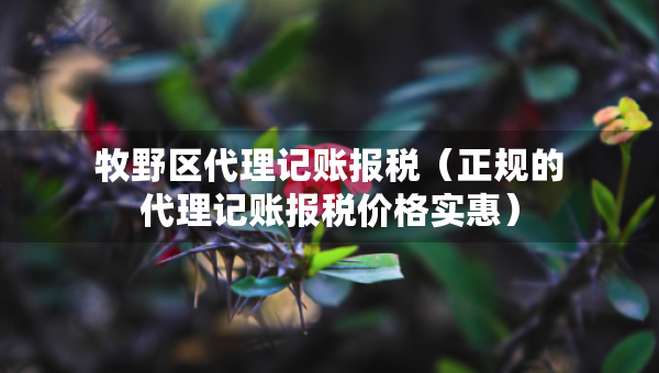 牧野區(qū)代理記賬報稅（正規(guī)的代理記賬報稅價格實惠）