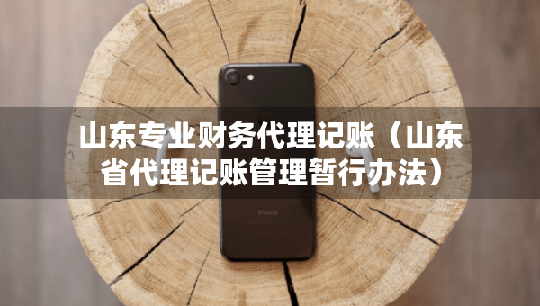 山東專業(yè)財務(wù)代理記賬（山東省代理記賬管理暫行辦法）