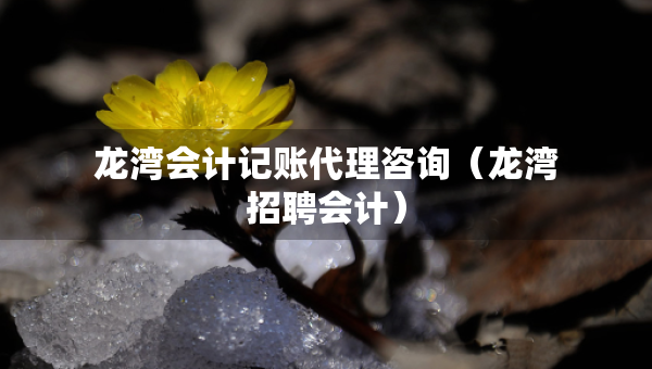 龍灣會(huì)計(jì)記賬代理咨詢(xún)（龍灣招聘會(huì)計(jì)）