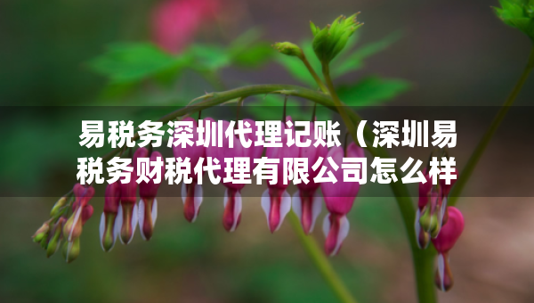 易稅務(wù)深圳代理記賬（深圳易稅務(wù)財(cái)稅代理有限公司怎么樣）