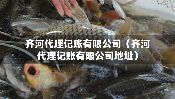 齊河代理記賬有限公司（齊河代理記賬有限公司地址）