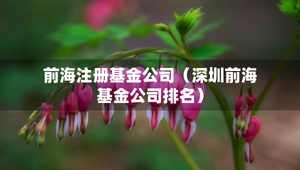 前海注冊基金公司（深圳前?；鸸九琶? />		 </a>
		</div>
		
	<div   id=