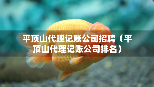 平頂山代理記賬公司招聘（平頂山代理記賬公司排名）