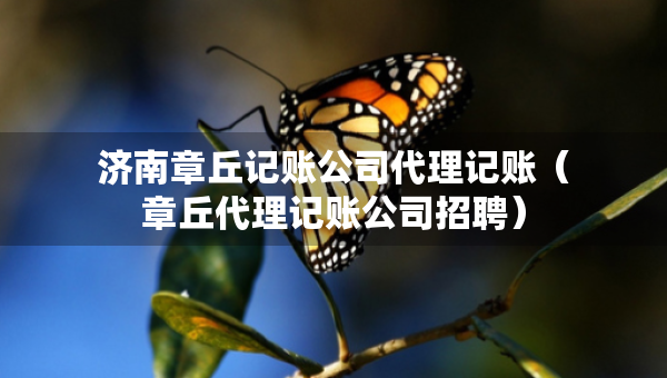 濟(jì)南章丘記賬公司代理記賬（章丘代理記賬公司招聘）