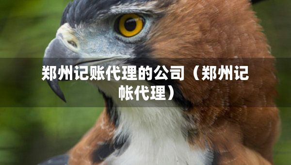 鄭州記賬代理的公司（鄭州記帳代理）
