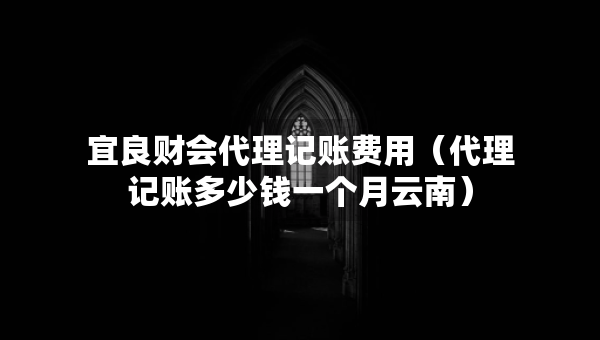 宜良財(cái)會代理記賬費(fèi)用（代理記賬多少錢一個(gè)月云南）