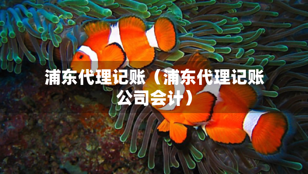浦東代理記賬（浦東代理記賬公司會計）