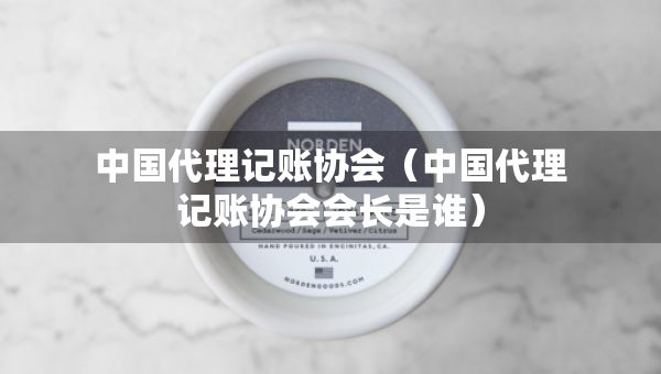 中國(guó)代理記賬協(xié)會(huì)（中國(guó)代理記賬協(xié)會(huì)會(huì)長(zhǎng)是誰(shuí)）