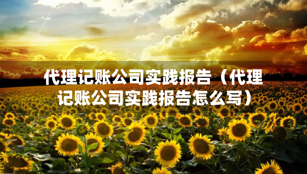 代理記賬公司實(shí)踐報(bào)告（代理記賬公司實(shí)踐報(bào)告怎么寫）