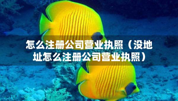怎么注冊公司營業(yè)執(zhí)照（沒地址怎么注冊公司營業(yè)執(zhí)照）