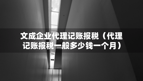 文成企業(yè)代理記賬報稅（代理記賬報稅一般多少錢一個月）