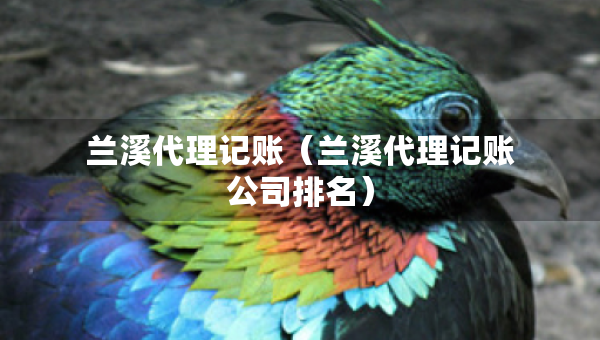 蘭溪代理記賬（蘭溪代理記賬公司排名）