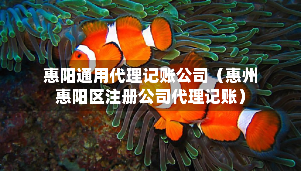 惠陽通用代理記賬公司（惠州惠陽區(qū)注冊公司代理記賬）