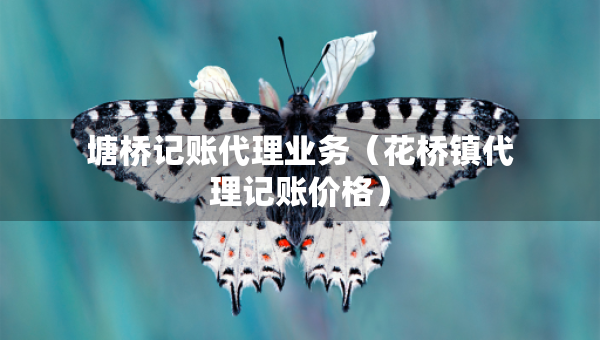 塘橋記賬代理業(yè)務(wù)（花橋鎮(zhèn)代理記賬價(jià)格）