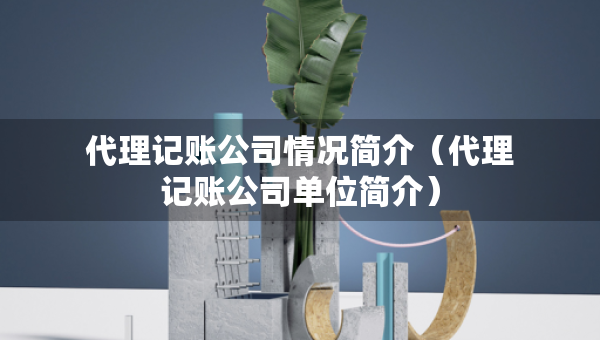 代理記賬公司情況簡介（代理記賬公司單位簡介）