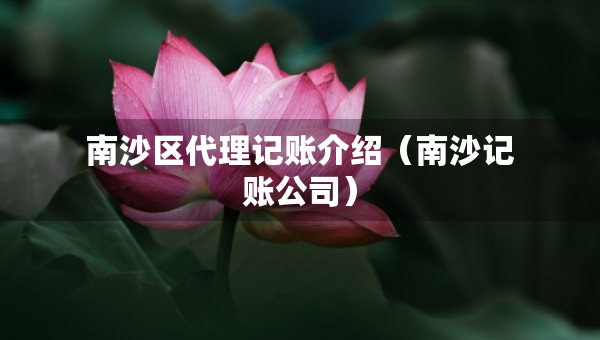 南沙區(qū)代理記賬介紹（南沙記賬公司）