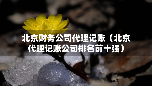 北京財務公司代理記賬（北京代理記賬公司排名前十強）