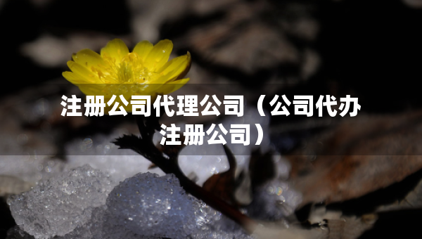 注冊(cè)公司代理公司（公司代辦注冊(cè)公司）
