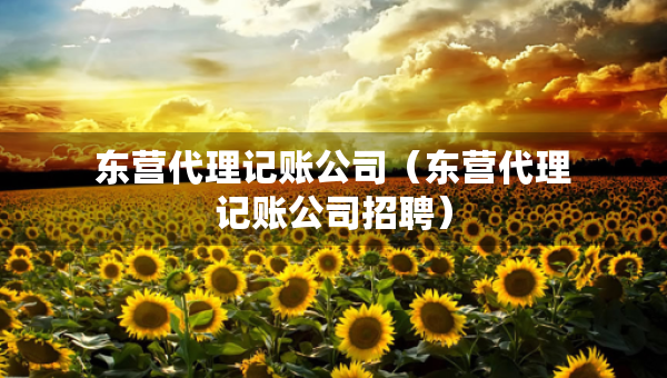 東營代理記賬公司（東營代理記賬公司招聘）
