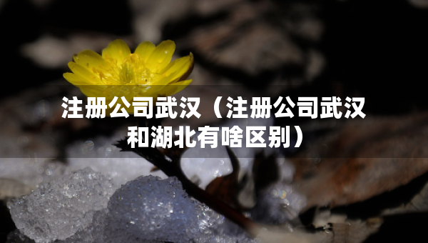 注冊公司武漢（注冊公司武漢和湖北有啥區(qū)別）