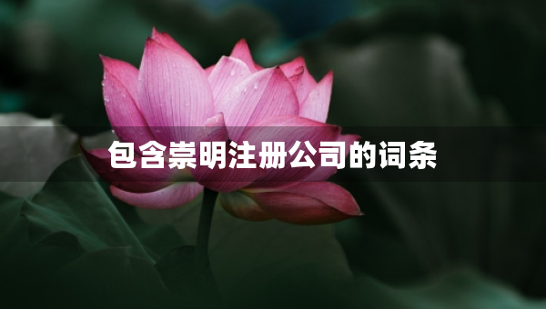 包含崇明注冊公司的詞條