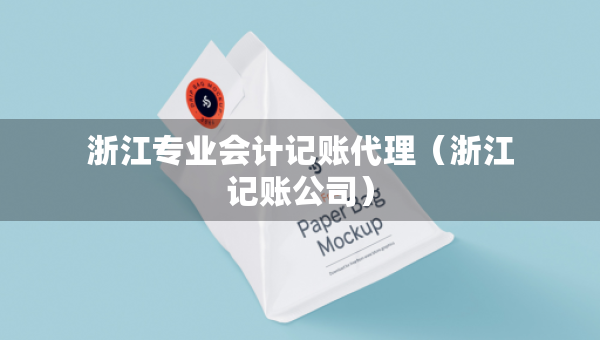 浙江專業(yè)會(huì)計(jì)記賬代理（浙江記賬公司）