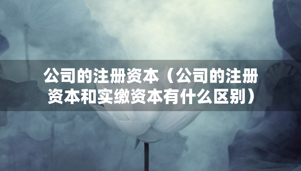 公司的注冊資本（公司的注冊資本和實繳資本有什么區(qū)別）