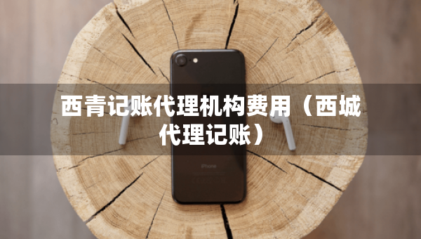 西青記賬代理機(jī)構(gòu)費(fèi)用（西城代理記賬）