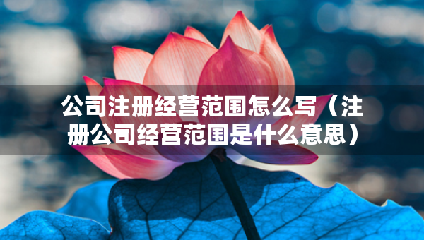 公司注冊經(jīng)營范圍怎么寫（注冊公司經(jīng)營范圍是什么意思）