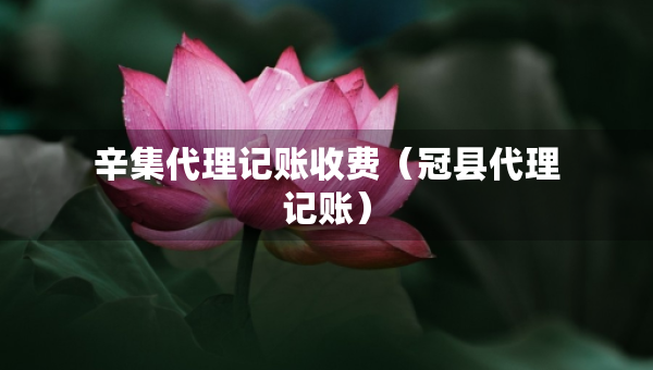 辛集代理記賬收費（冠縣代理記賬）