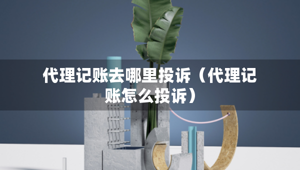 代理記賬去哪里投訴（代理記賬怎么投訴）