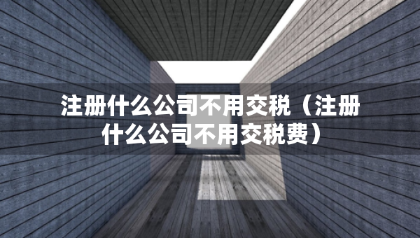 注冊什么公司不用交稅（注冊什么公司不用交稅費）
