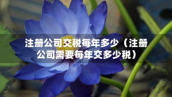 注冊公司交稅每年多少（注冊公司需要每年交多少稅）