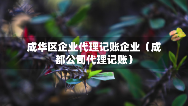 成華區(qū)企業(yè)代理記賬企業(yè)（成都公司代理記賬）