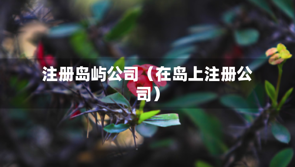 注冊(cè)島嶼公司（在島上注冊(cè)公司）