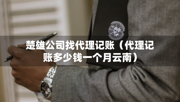 楚雄公司找代理記賬（代理記賬多少錢一個月云南）