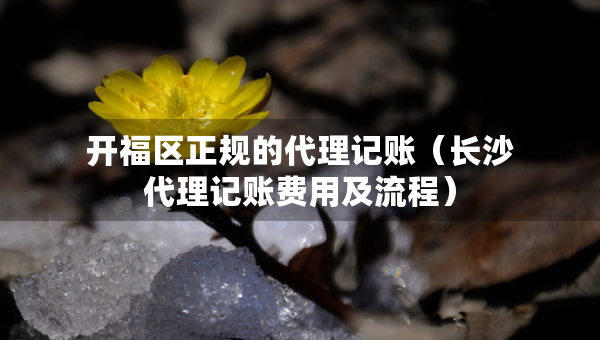 開福區(qū)正規(guī)的代理記賬（長沙代理記賬費用及流程）