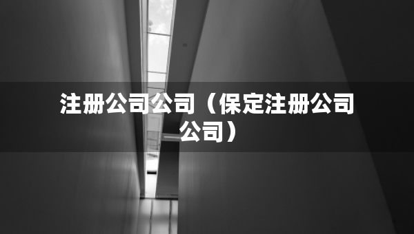 注冊公司公司（保定注冊公司公司）