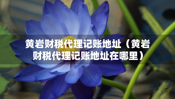 黃巖財(cái)稅代理記賬地址（黃巖財(cái)稅代理記賬地址在哪里）