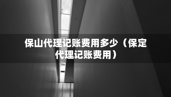 保山代理記賬費用多少（保定代理記賬費用）